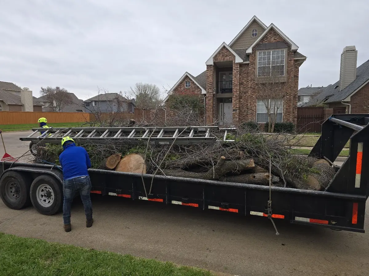 Expert Tree Pest Control with proper safety equipment in Jamesport